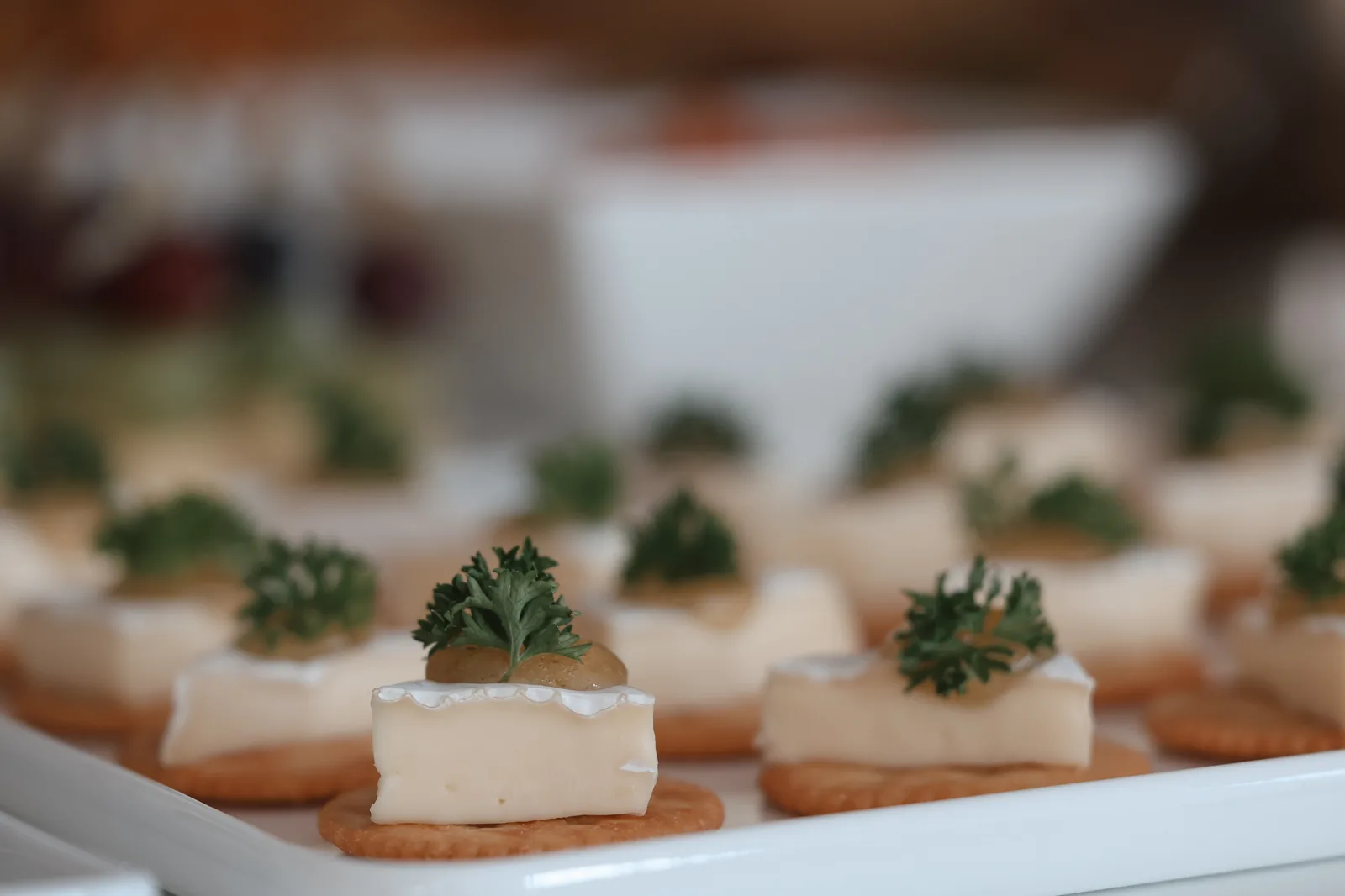 Cracker mit Camembert, einem Klecks Chutney und krauser Petersilie auf einer weissen Platte