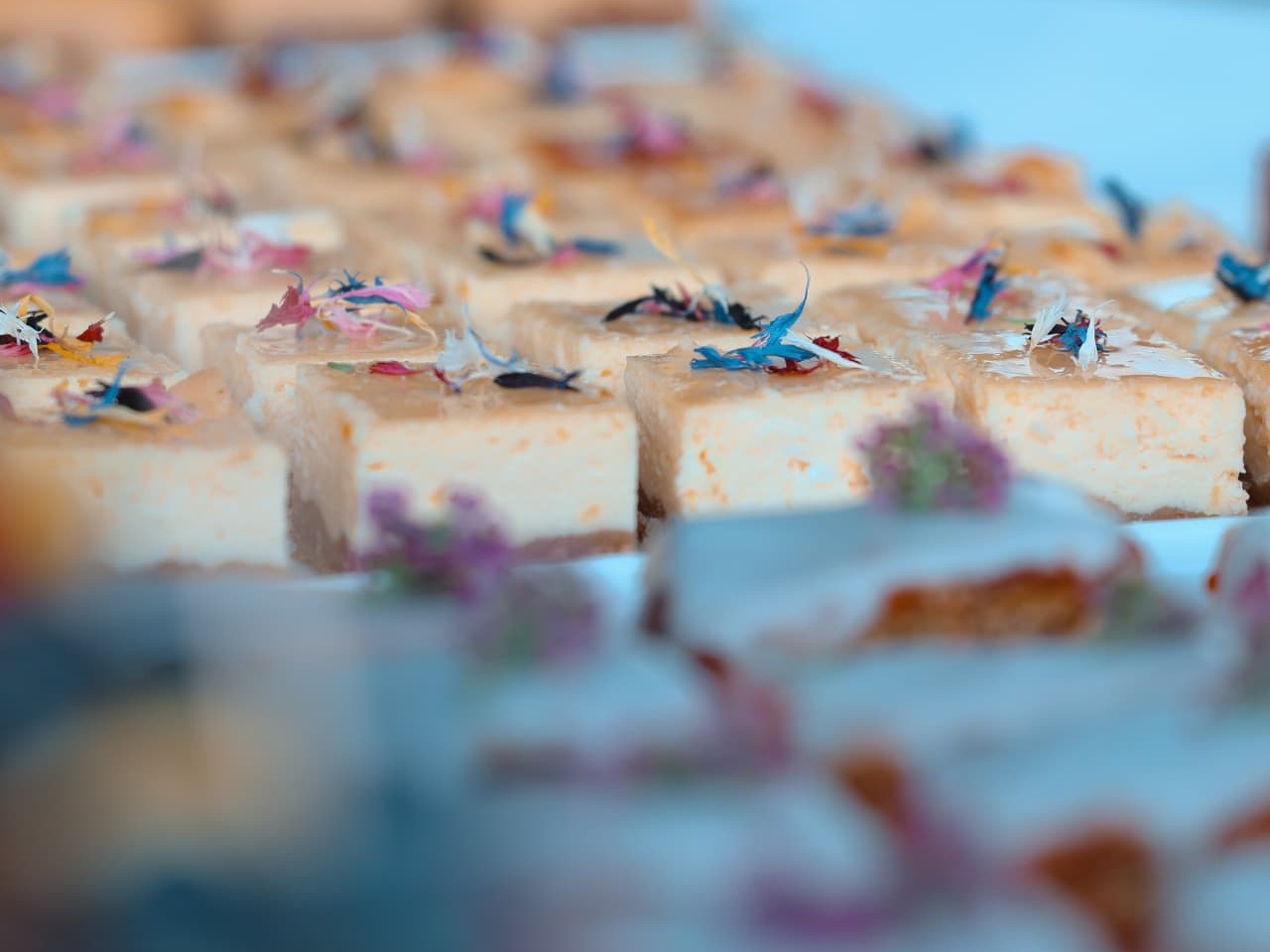 Kleine Kuchenstücke und Dessert-Häppchen auf einem Tablett, mit Blütenblättern garniert